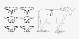 การออกแบบโลโก้-ที่มาของโลโก้